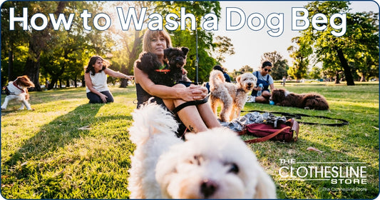 How to Wash a Dog Bed The Clothesline Store